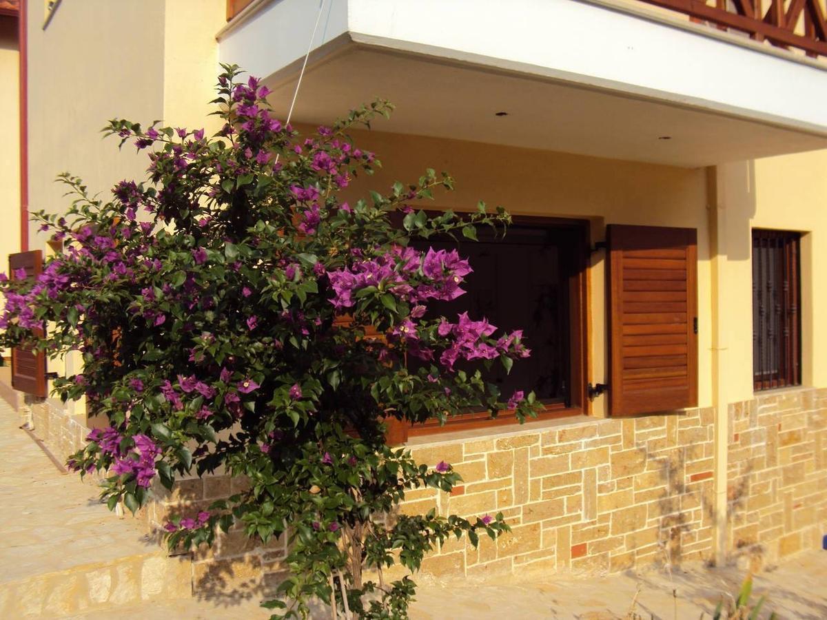 Marvelous Sea View Eco Apt Amoliani Extérieur photo